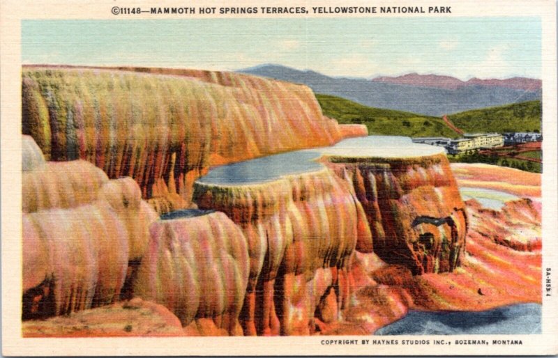 Postcard Yellowstone - Mammoth Hot Springs Terraces