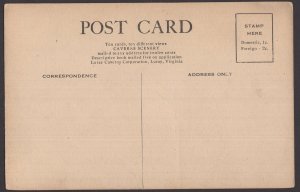 Virginia NATURAL BRIDGE Caverns of Luray Scenery Copyright 1906 ~ DB