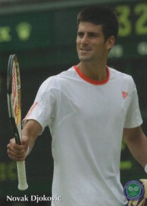 Novak Djokovic Wimbledon Tennis Championship Postcard