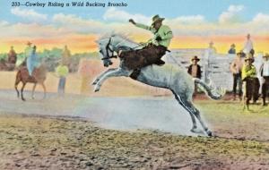 Cowboy Riding Wild Bucking Broncho Rodeo Horse Bronco Linen Postcard D25