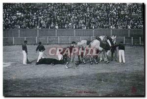 Postcard Old Bulls Bullfight Race El arrastre