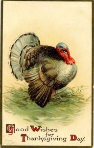 Greeting - Thanksgiving 