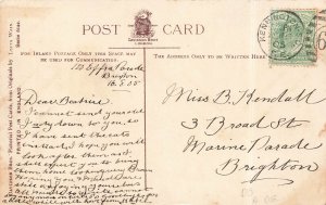 Louis Wain Artist A Cat's Matrimony,  Near Mint Condition, Postcard