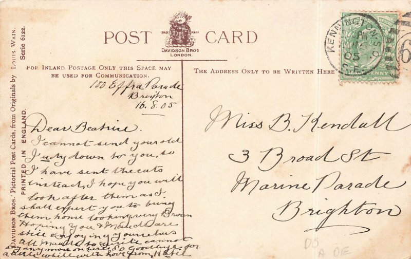 Louis Wain Artist A Cat's Matrimony,  Near Mint Condition, Postcard