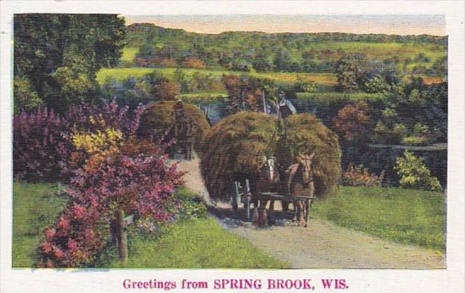 Wisconsin Greetings from Spring Brook