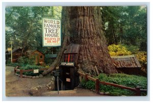 Vintage World Famous Tree House Park Ayton Ville, CA. Postcard F81E