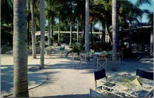 Vtg Largo Florida FL Palm Garden Restaurant Outdoor Dining Postcard