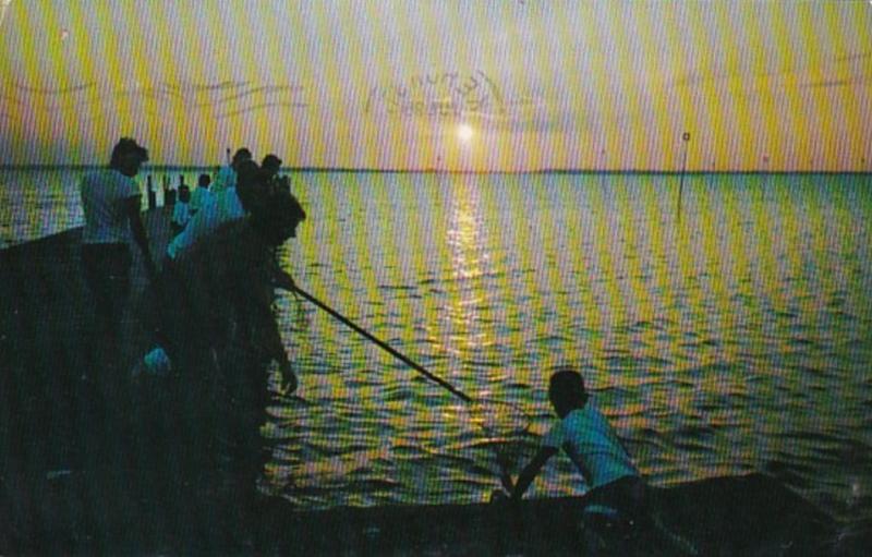 New Jersey Barnegat Bay Crabbing When The Sun Goes Down 1958