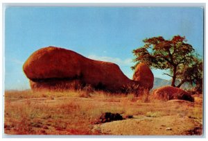 c1960's Huge Whale Moulded in Rock at Texas Canyon Cochise County, AZ Postcard