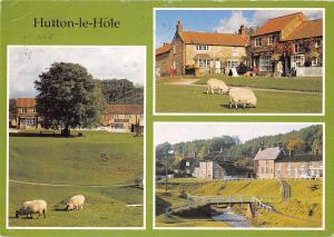 uk37031 hutton le hole uk lot 9 uk