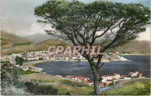 Postcard Modern Banyuls sur Mer (Pyr Gold) Vue Generale on the City Beach and...