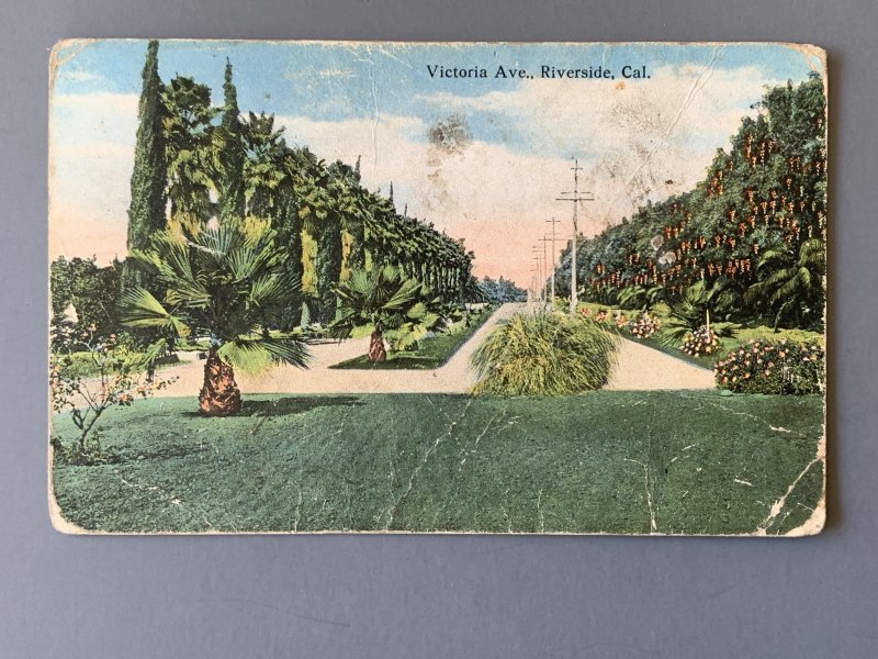 Victoria Avenue Riverside CA Litho Postcard A11508091055