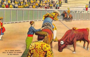 A Tense Moment, Bull is about to Charge in Old Mexico Bullfighting Unused 