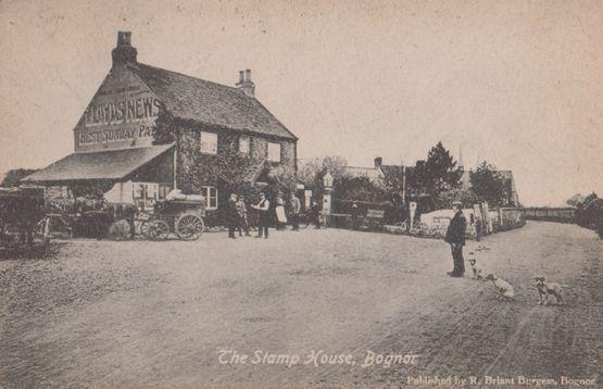 Dogs & Bicycle s outside The Stamp House Bognor Antique Welsh Postcard