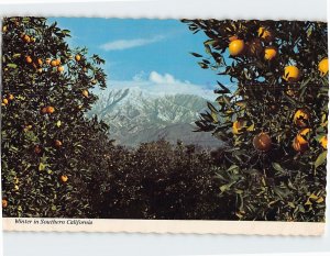 Postcard Winter in Southern California