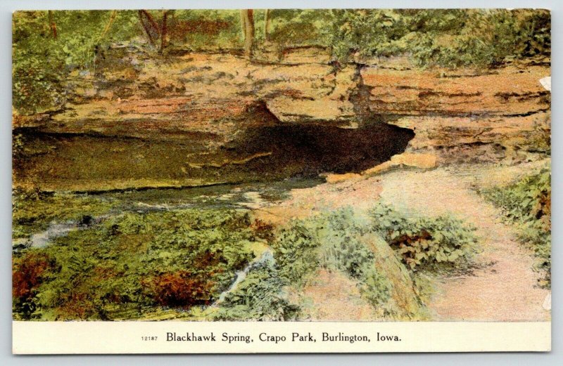Burlington Iowa~Crapo Park~Blackhawk Spring~Rocky Ledge Over Opening~1909 PC 