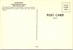 Salt Lake City, UT Utah  ELEPHANTS Hogle Zoological Gardens  ZOO  4X6 Postcard