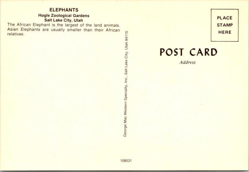 Salt Lake City, UT Utah  ELEPHANTS Hogle Zoological Gardens  ZOO  4X6 Postcard