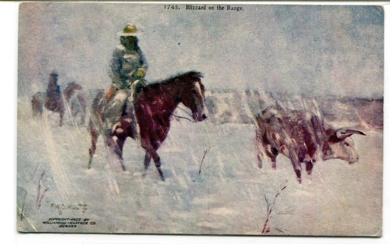 Cowboy Cattle Drive Blizzard On The Range artist F W Schultz 1910c postcard