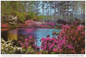 Bellingrath Gardens Near Mobile Alabama