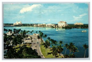 Vintage 1950's Postcard Scenic Flagler Drive West Palm Beach Florida