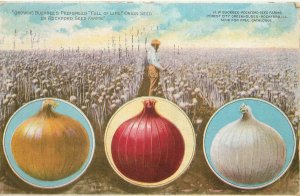 Onions Advertising Rockford Seed Farms IL Buckbees Pedigree Full Of Life