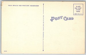 Dover Delaware 1940s Postcard Legislature Building