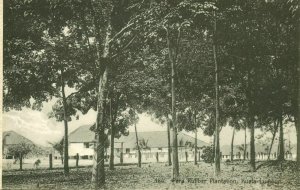 malay malaysia, KUALA LUMPUR, Para Rubber Plantation (1910s) Postcard