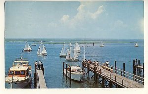 Stone Harbor, New Jersey/NJ Postcard, Regatta Day, Sailboats/Docks, 1960!