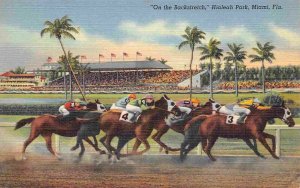 Horse Racing Hialeah Park Race Track Miami Florida 1940s linen postcard