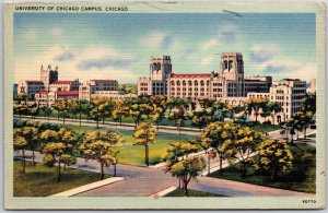 1943 University Of Chicago Campus Illinois ILL Pathway & Plants Posted Postcard