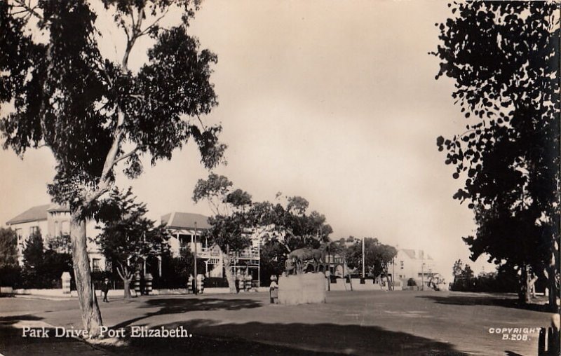 Postcard RPPC Park Drive Port Elizabeth South Africa