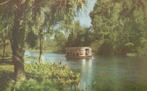 Vintage Postcard Beautiful Silver River Silver Springs Florida FL Fairyland