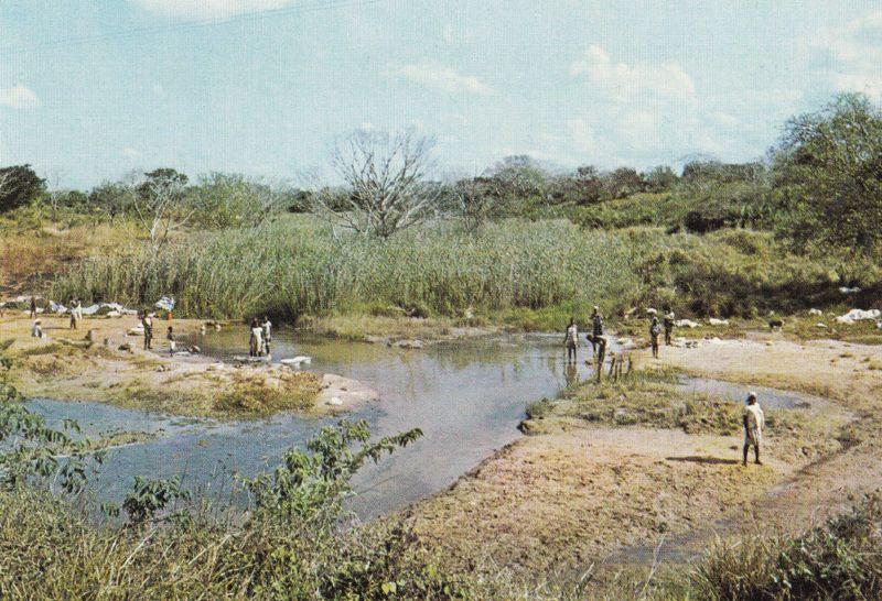 African Plantation Washday South Africa Postcard