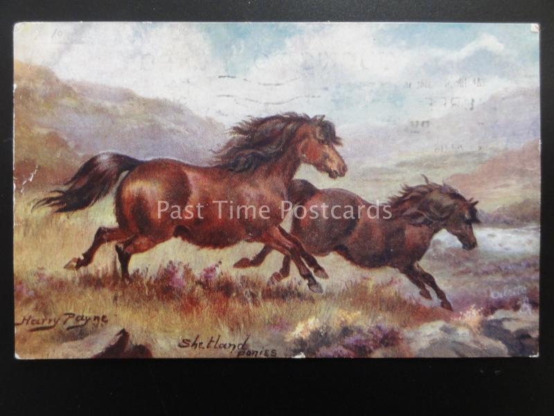 Horse Studies SHETLAND PONIES After Harry Payne c1938 by Raphael Tuck 9138