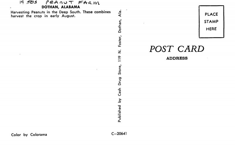 Dothan Alabama 1950s Peanut Farm agriculture occupation Postcard 24-7900