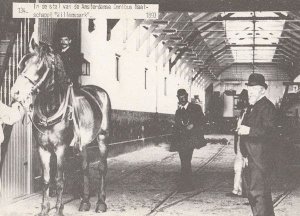 Amsterdamse Omnibus Maatschappij Willemspark 1893 Postcard