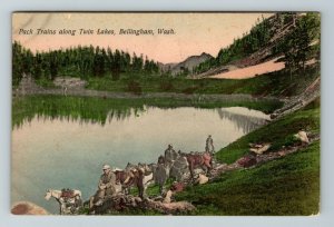 Bellingham WA-Washington, Pack Trains Along Twin Lakes  Vintage Postcard