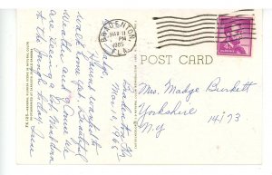 FL - Banana Tree, Bud & Fruit