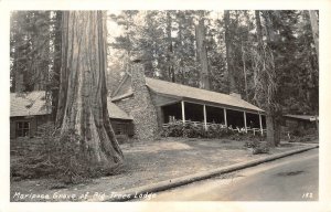 RPPC Mariposa Grove Big Trees Lodge, Wawona, CA Yosemite c1950s Vintage Postcard