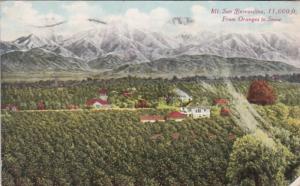 California Mount San Bernardino From Oranges To Snow 1913