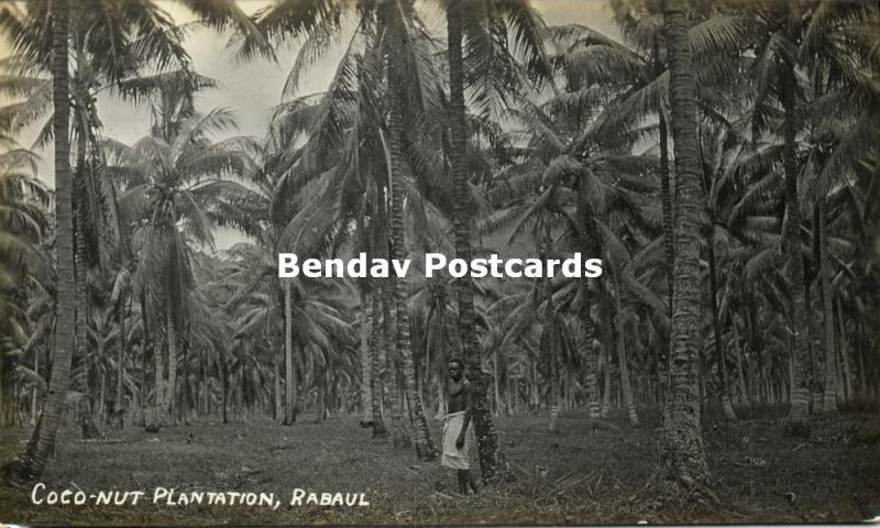 Bismarck Archipelago PNG, RABAUL, New Britain, Cocoanut Plantation (1910s) RP