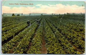 M-3116 Celery Field Kalamazoo Michigan