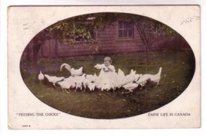 Little Girl, Farm Life in Canada, Feeding the Chicks, Used 1909, Warwick 4959S