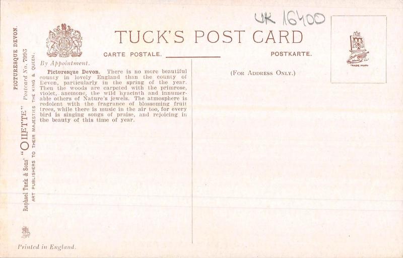 uk16400 picturesque devon uk