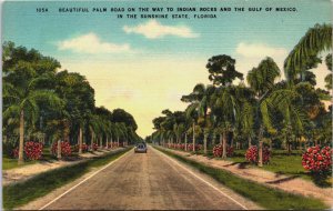 Beautiful Palm Road Sunshine State Florida Linen C037