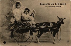 CPA Souvenir du Limousin Gracieux Attelage (611219)