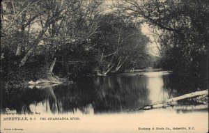 Tuck Asheville North Carolina NC Swannanoa River c1910 Vintage Postcard