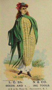 L.G Sherman & Co Seeds & Farming Tools Anthropomorphic Ear Of Corn-Lady P44