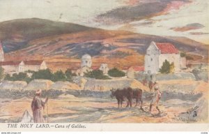 THE HOLY LAND, Cana of Galilee, 1900-10s; TUCK 7310